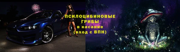 круглые Алзамай