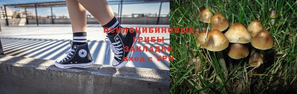 круглые Алзамай