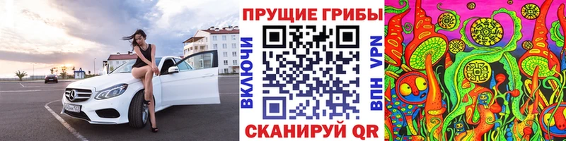 Купить  Чухлома  Псилоцибиновые грибы мицелий 